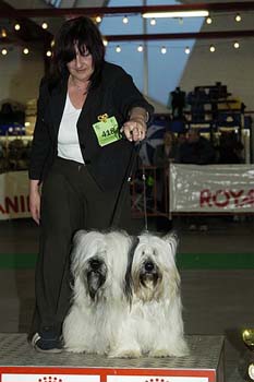 gal/Expo janvier 2005/DSC_4422.jpg